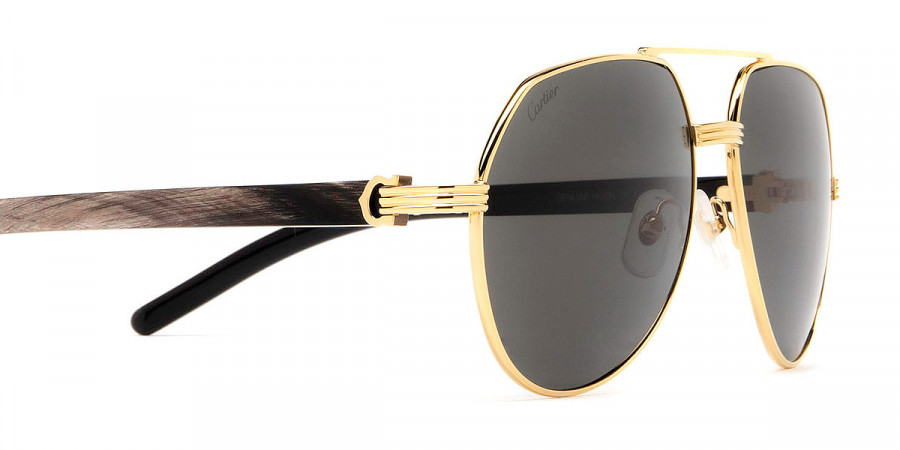 Color: Gold/Black (001) - Cartier CT0272S00160