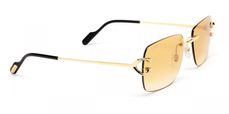 Color: Gold (003) - Cartier CT0330S00357