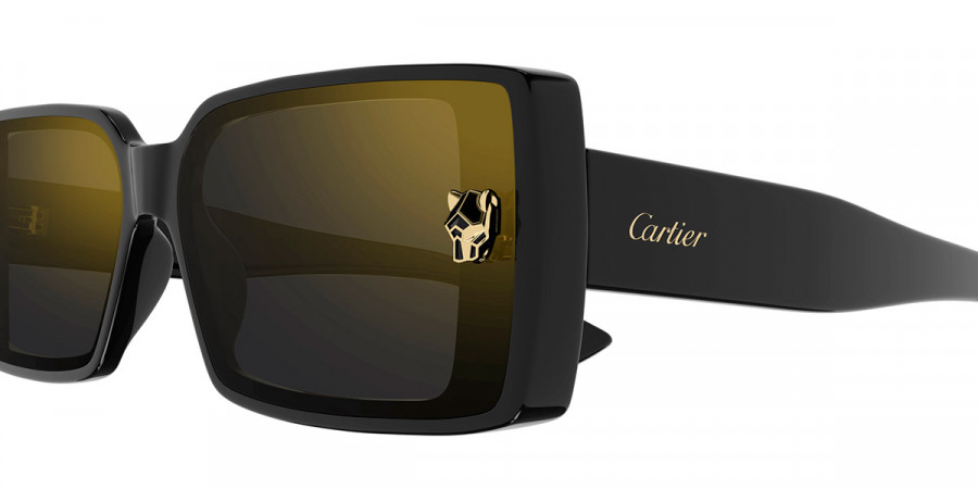 Color: Black (001) - Cartier CT0358S00164