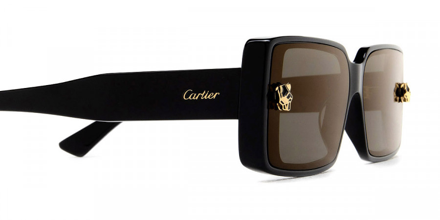 Color: Black (001) - Cartier CT0358S00164