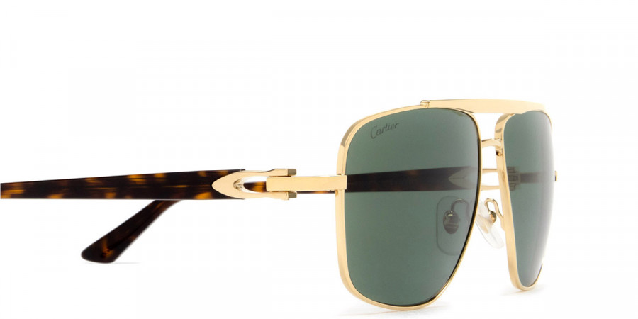 Color: Gold/Havana (005) - Cartier CT0365S00561