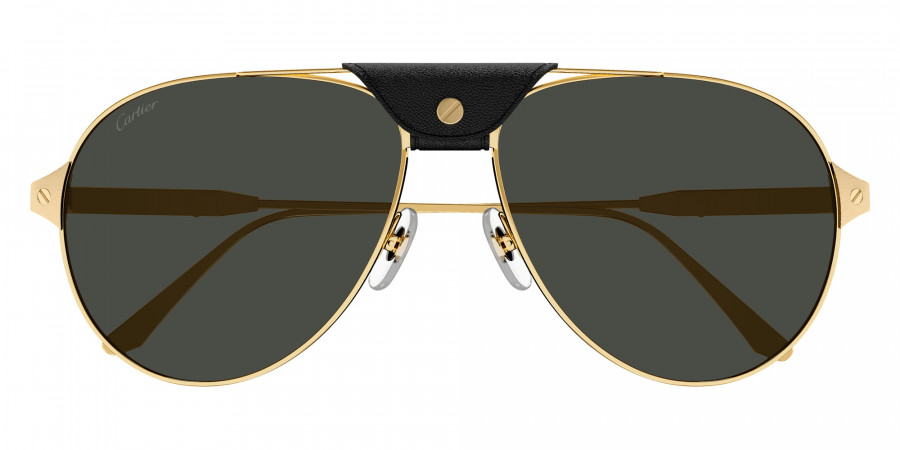 Color: Gold (001) - Cartier CT0387S00160