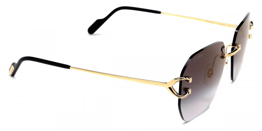 Color: Gold (001) - Cartier CT0394S00158