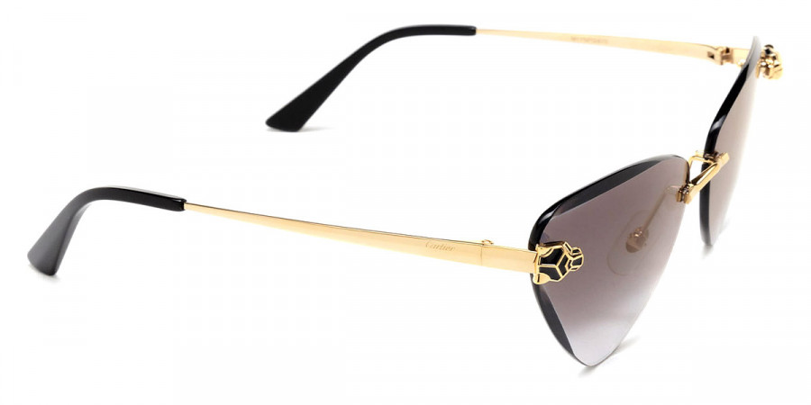 Color: Gold (001) - Cartier CT0399S00162