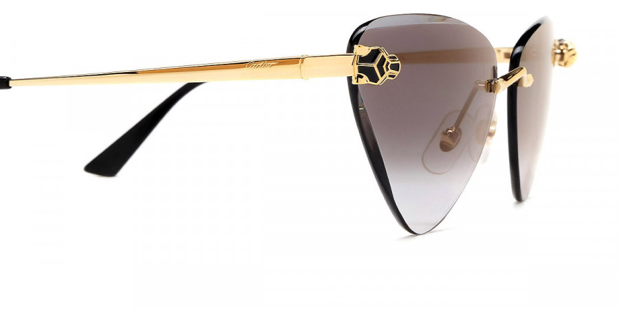 Color: Gold (001) - Cartier CT0399S00162