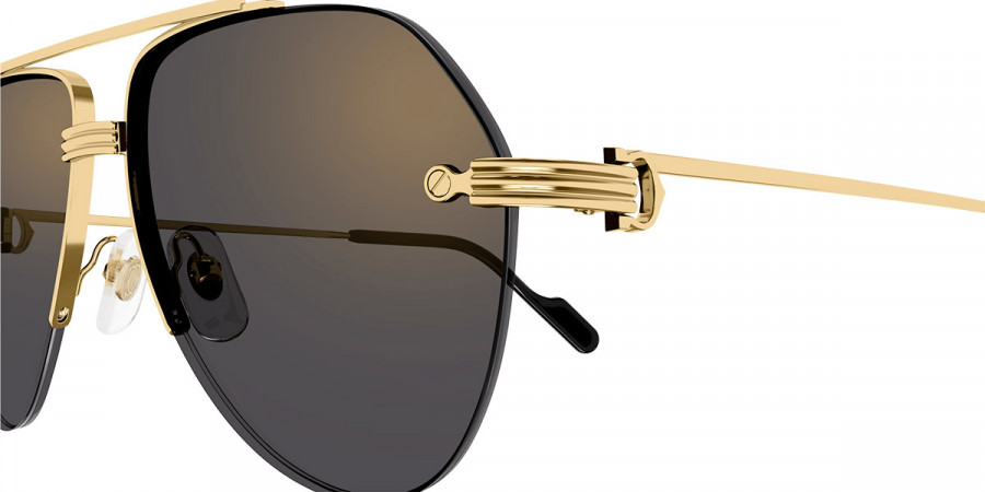 Color: Gold (001) - Cartier CT0427S00158