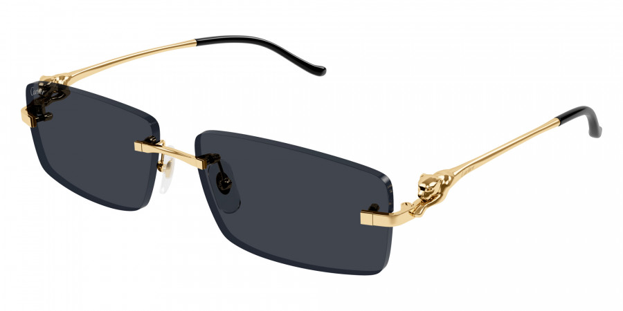 Color: Gold (001) - Cartier CT0430S00158