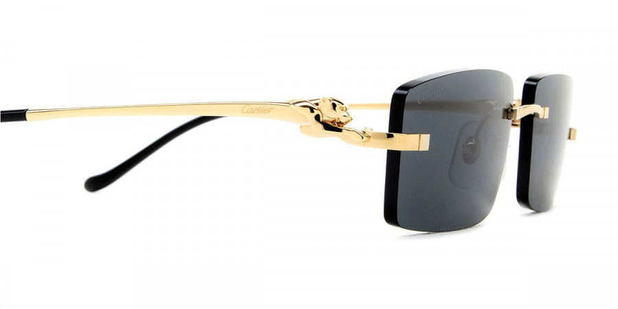 Color: Gold (001) - Cartier CT0430S00158