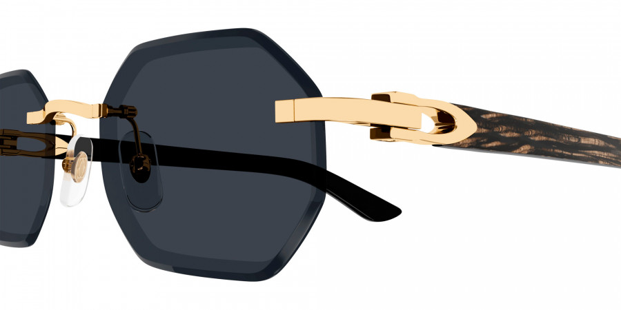 Color: Gold/Black (001) - Cartier CT0439S00154