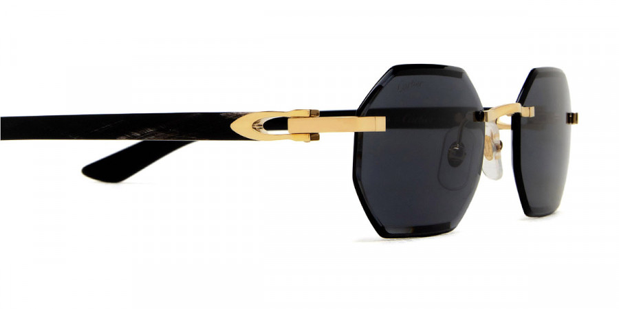 Color: Gold/Black (001) - Cartier CT0439S00154