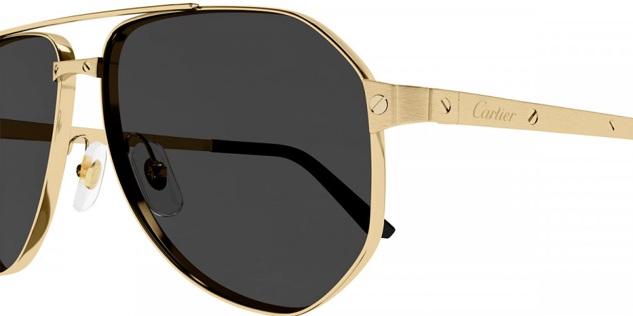 Color: Gold (001) - Cartier CT0461S00160