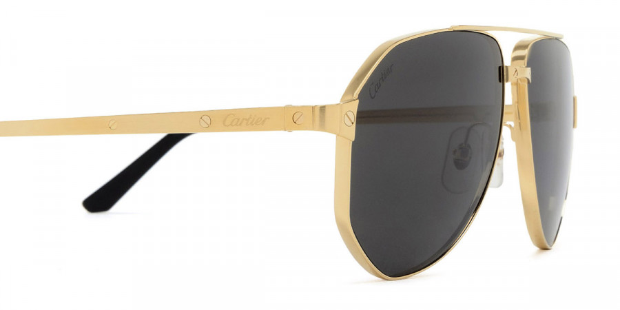 Color: Gold (001) - Cartier CT0461S00160