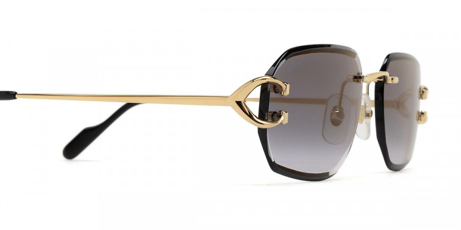 Color: Gold (001) - Cartier CT0468S00158