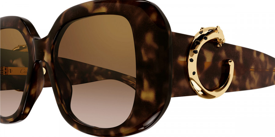 Color: Havana (002) - Cartier CT0471S00254