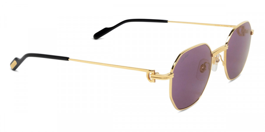 Color: Gold (004) - Cartier CT0500S00450