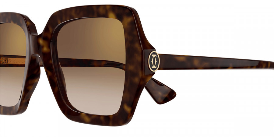 Color: Havana (002) - Cartier CT0507S00254