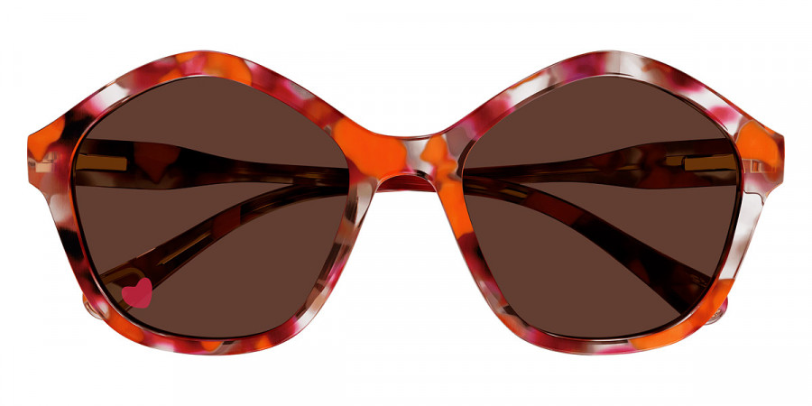 Chloé™ CC0010S 005 49 - Havana