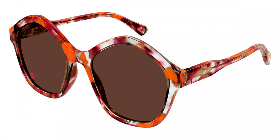 Color: Havana (005) - Chloé CC0010S00549