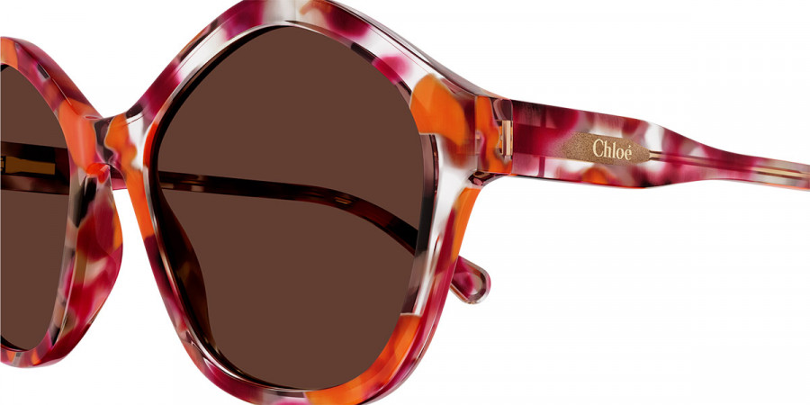 Color: Havana (005) - Chloé CC0010S00549