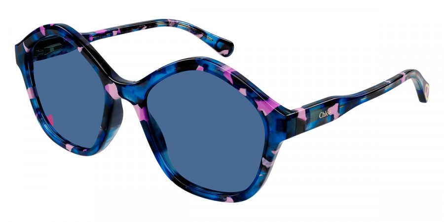 Color: Havana (006) - Chloé CC0010S00649