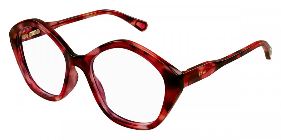 Color: Havana (005) - Chloé CC0011O00549