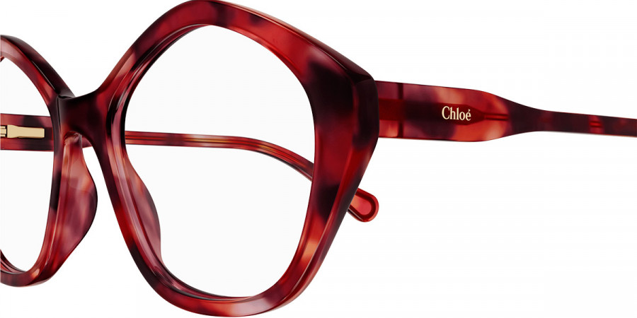 Color: Havana (005) - Chloé CC0011O00549