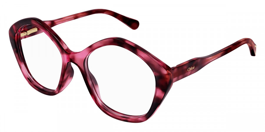 Color: Havana (006) - Chloé CC0011O00649