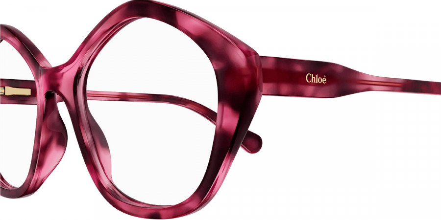 Color: Havana (006) - Chloé CC0011O00649