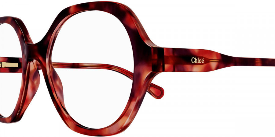 Color: Havana (005) - Chloé CC0012O00548