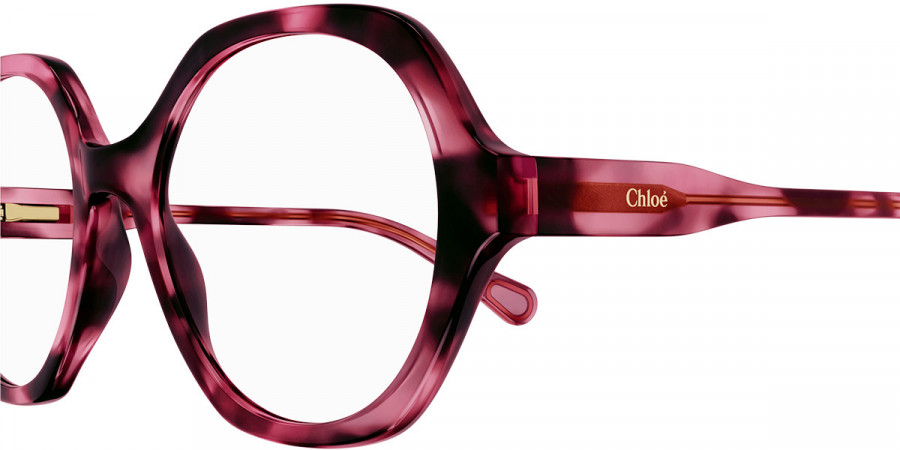 Color: Havana (006) - Chloé CC0012O00648