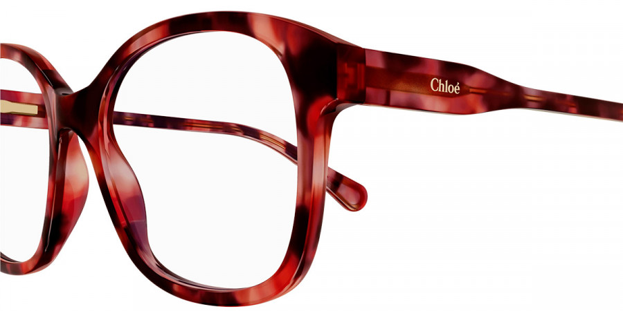 Color: Havana (005) - Chloé CC0013O00548