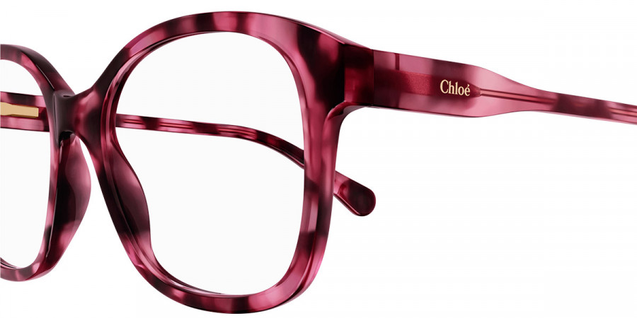 Color: Havana (006) - Chloé CC0013O00648