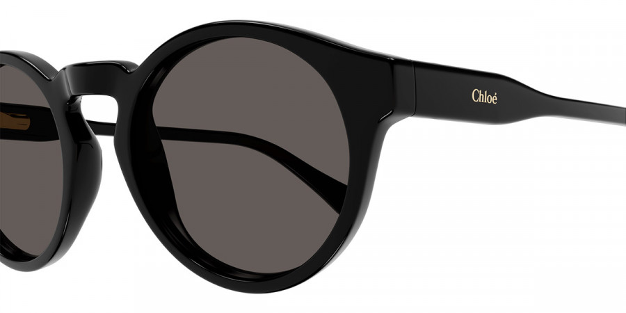 Color: Black (005) - Chloé CC0014S00546