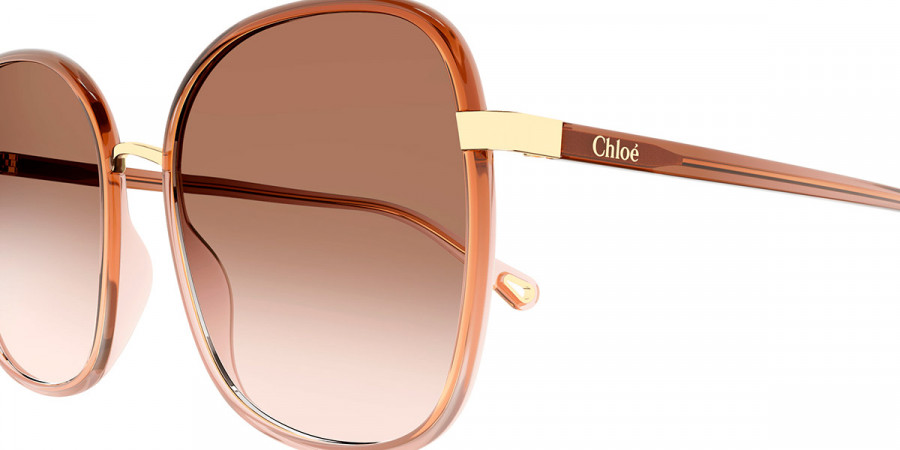 Color: Brown (007) - Chloé CH0031S00756