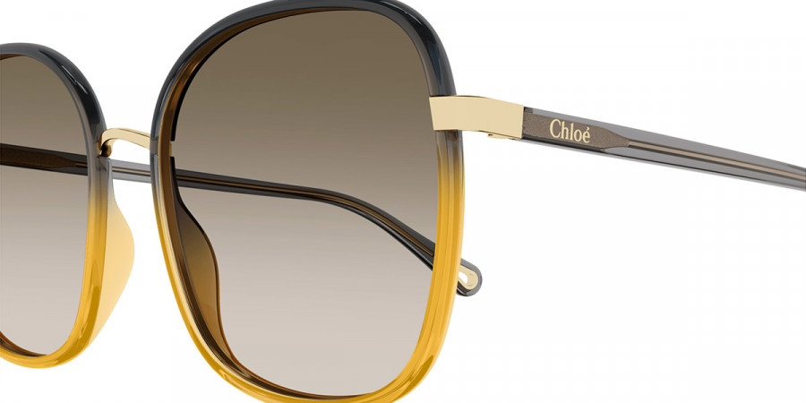 Color: Black/Gray (010) - Chloé CH0031S01059