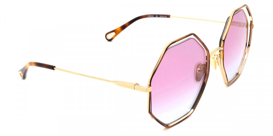 Color: Havana/Gold (006) - Chloé CH0046S00653