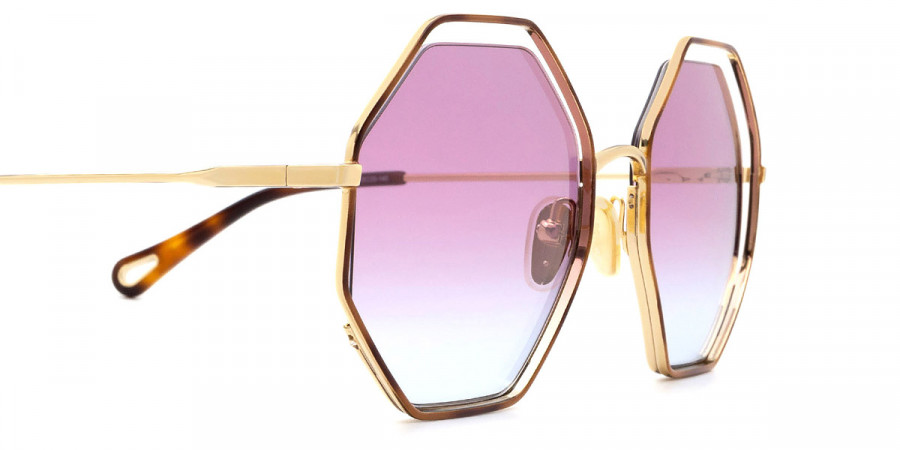 Color: Havana/Gold (006) - Chloé CH0046S00653