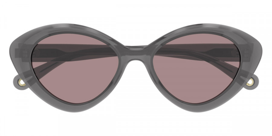 Chloé™ CH0050S 001 53 - Gray