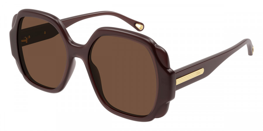 Color: Brown (001) - Chloé CH0121S00155