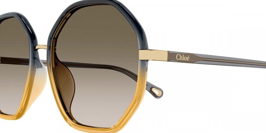 Color: Black/Gray (005) - Chloé CH0133SA00559