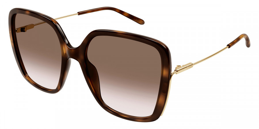 Color: Havana/Gold (002) - Chloé CH0173S00257