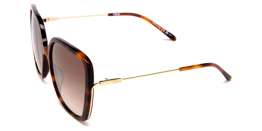 Color: Havana/Gold (002) - Chloé CH0173S00257