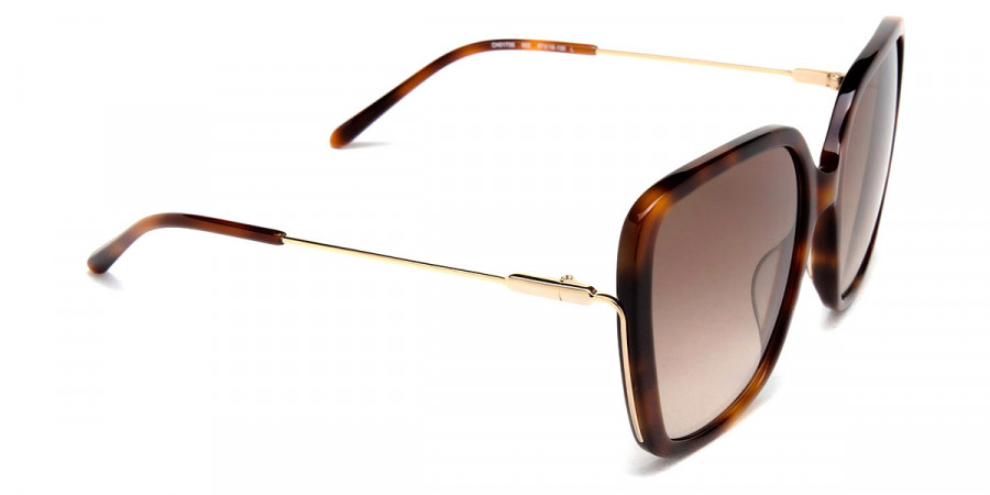 Color: Havana/Gold (002) - Chloé CH0173S00257