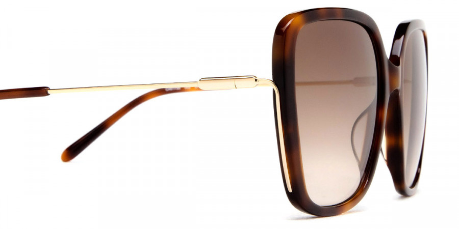 Color: Havana/Gold (002) - Chloé CH0173S00257