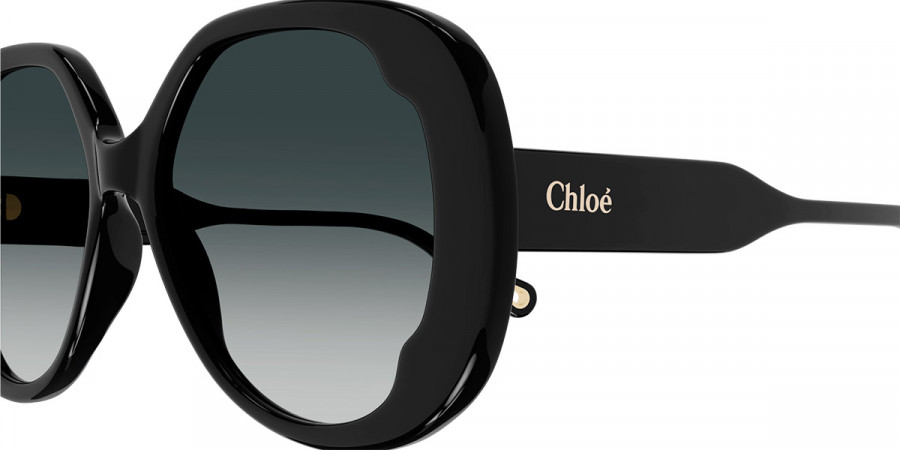 Color: Black (001) - Chloé CH0195S00156