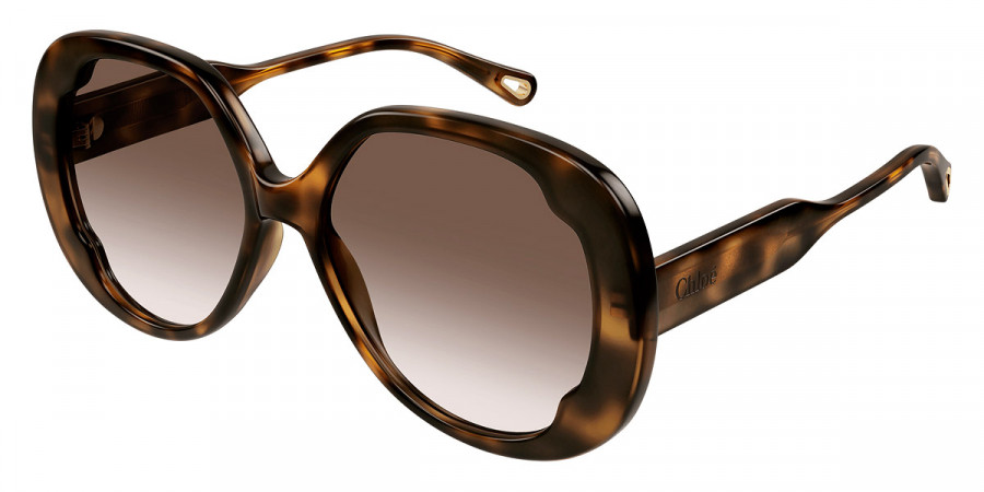 Color: Havana (002) - Chloé CH0195S00256