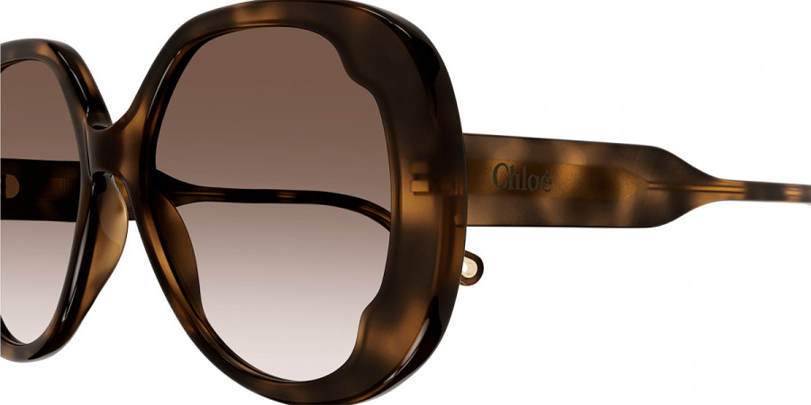 Color: Havana (002) - Chloé CH0195S00256