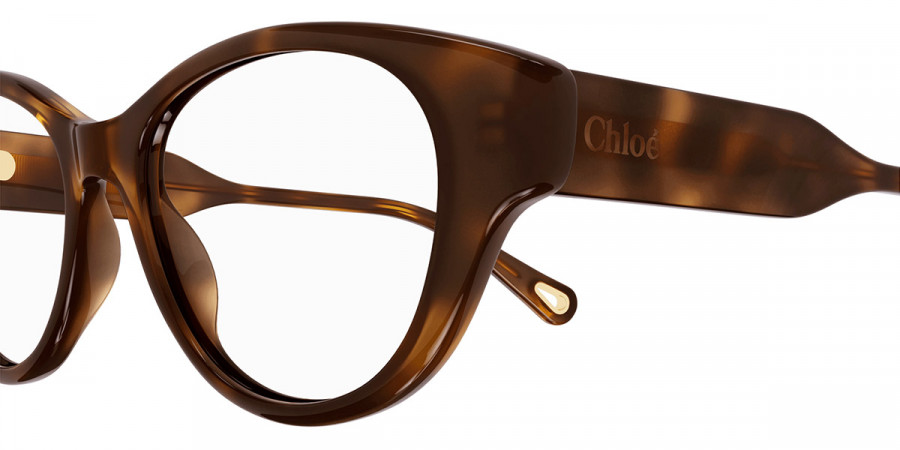 Color: Havana (003) - Chloé CH0199O00350