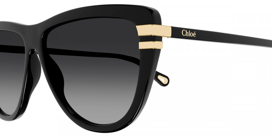 Color: Black (001) - Chloé CH0203S00159