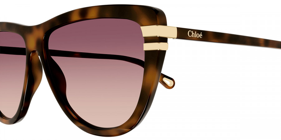 Color: Havana (002) - Chloé CH0203S00259